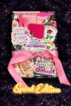 LIT UP | book bundles